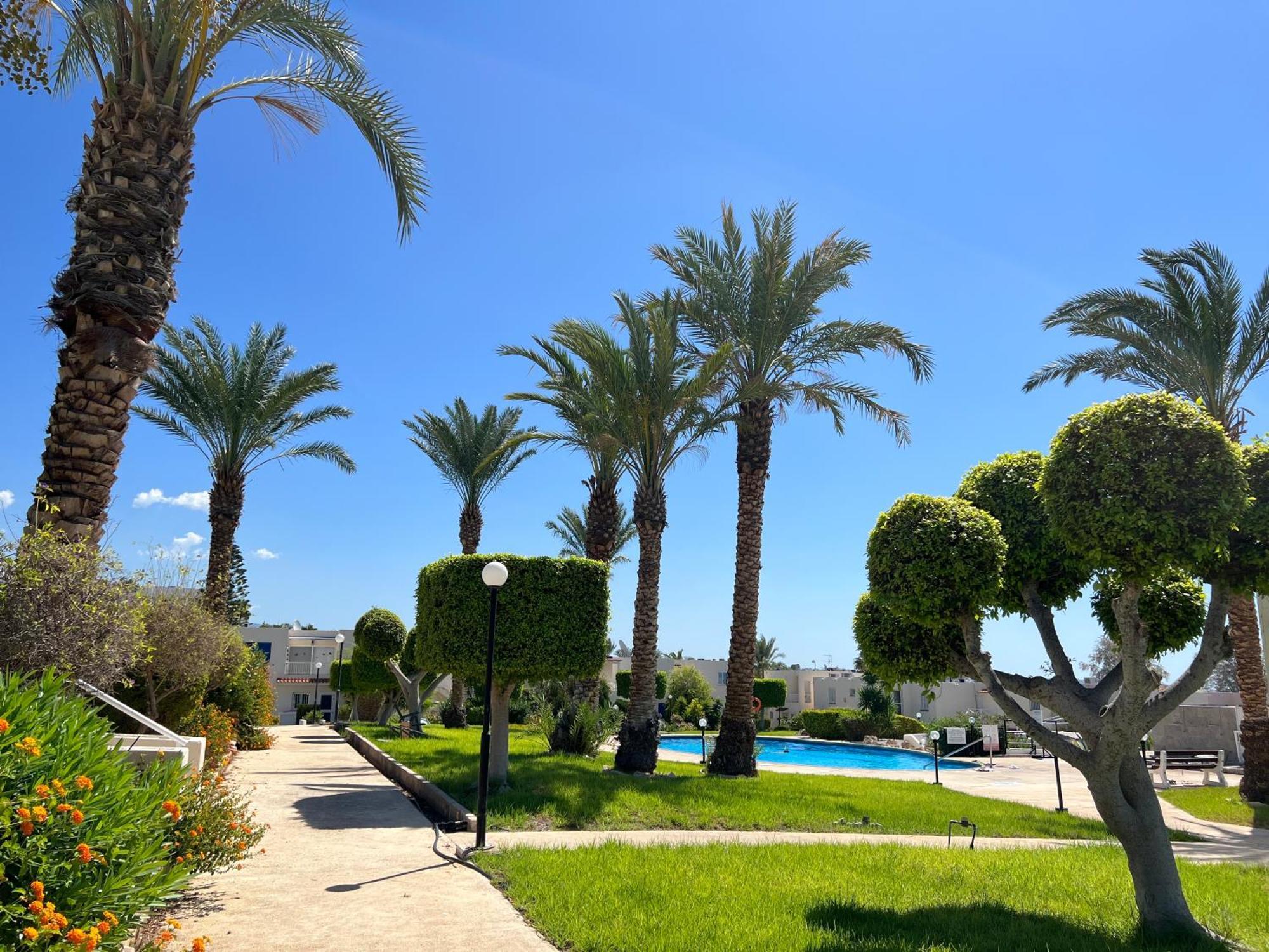 Modern Seaview Townhouse In Coral Bay (Adults Only) Apartment Peyia Exterior foto